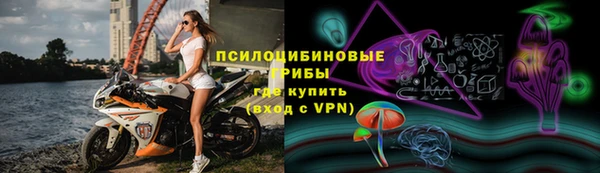 ГАЛЛЮЦИНОГЕННЫЕ ГРИБЫ Волосово
