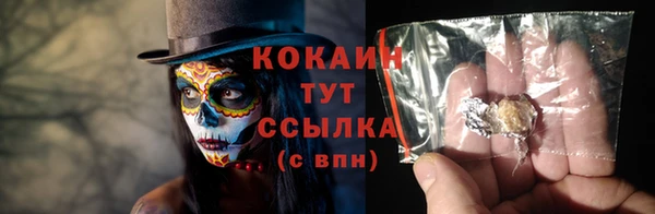 прущие грибы Заволжск
