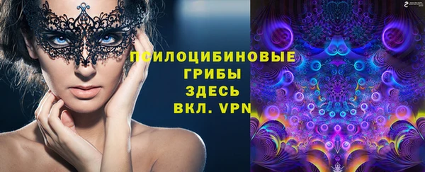 ГАЛЛЮЦИНОГЕННЫЕ ГРИБЫ Волосово