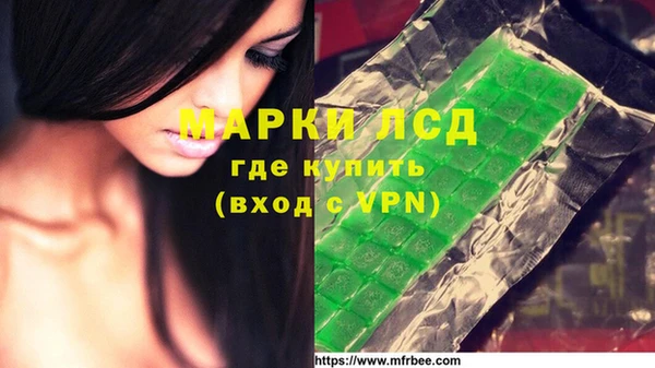 ГАЛЛЮЦИНОГЕННЫЕ ГРИБЫ Волосово