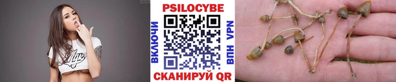 Галлюциногенные грибы прущие грибы  наркотики  Лыткарино 